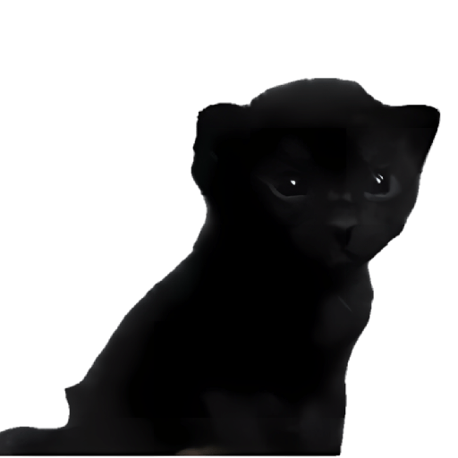 Gatitos memes viral 🔥 4