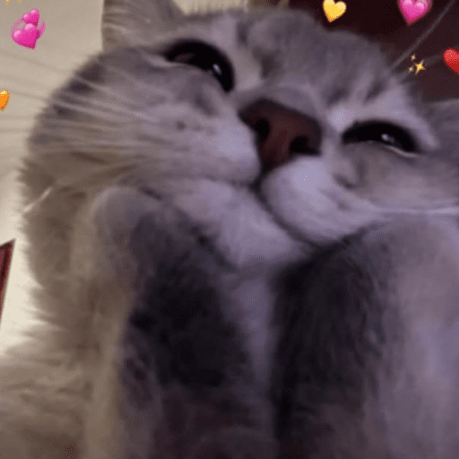 Gatinhos fofos 10