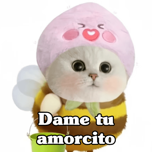 🧿 Dilo con michis 5😺 18