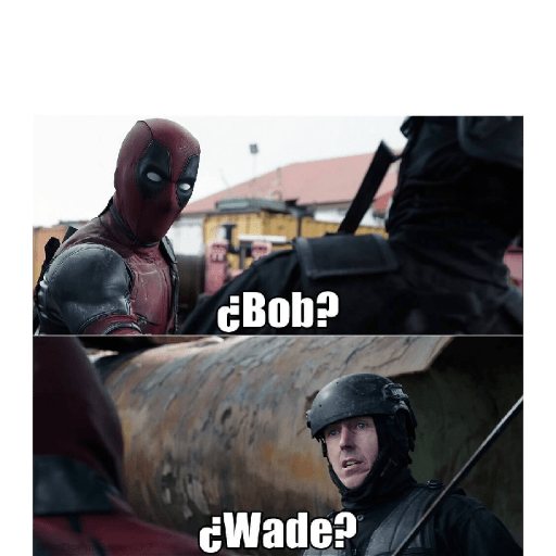 Adios vaquero 6