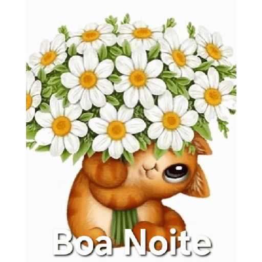 Boa noite 12