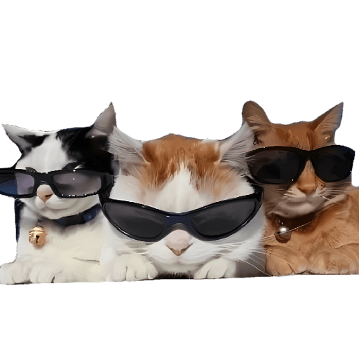Gatitos memes viral 🔥 18