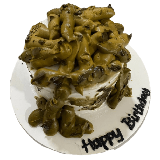 Poop cake birthday 1