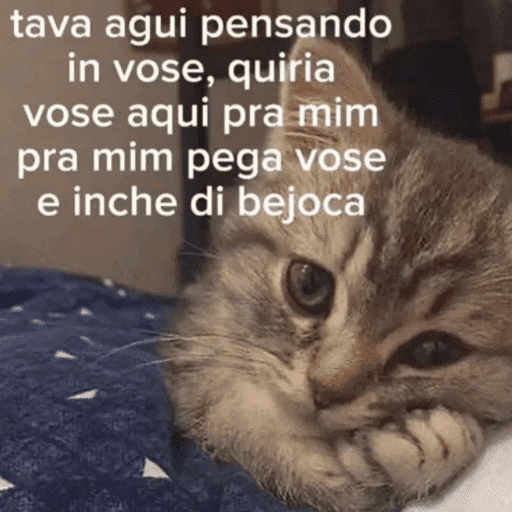 Sapecagens 11