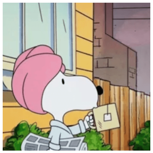 Snoopy moods  8