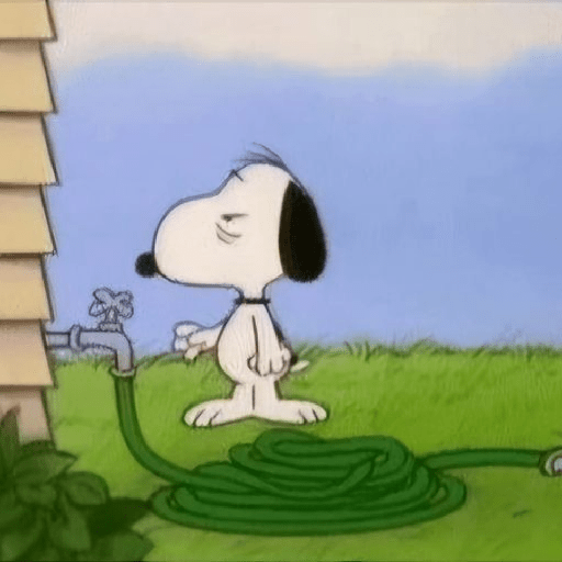 Snoopy 🥰 5
