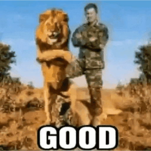 MEME GOKIL SINGA 10