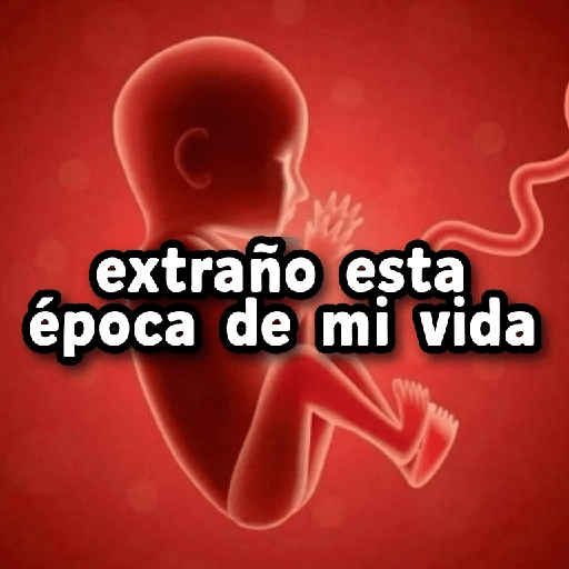COMBO de Stickers #22 🫟 15