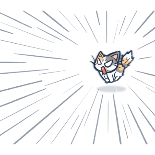 Gato Gatito loco 😜 crazy cat 😺 9