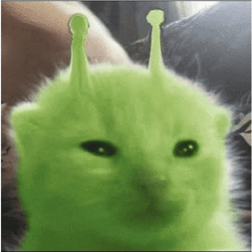 GREEN ALIEN CAT 6