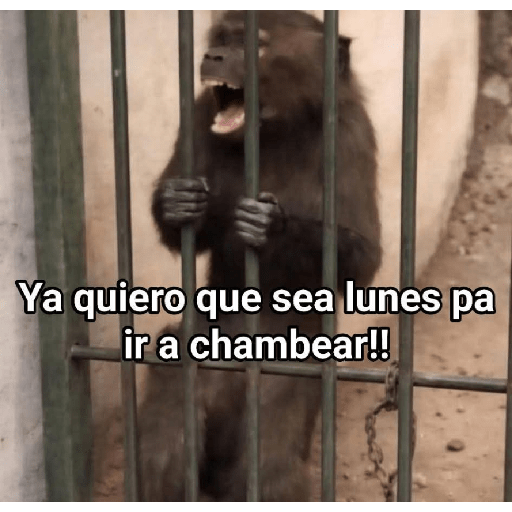 Memes 76 18