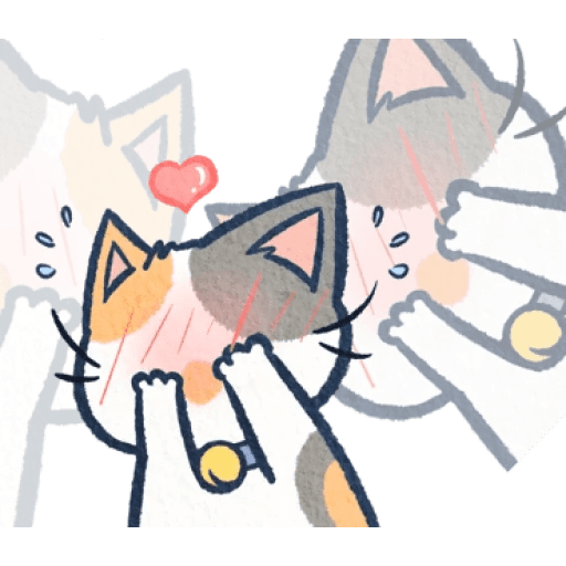 Gato Gatito loco 😜 crazy cat 😺 1