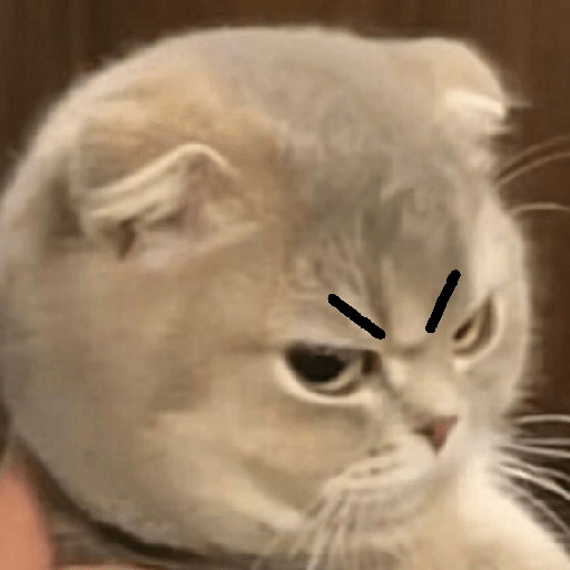 Gatitos enojados 😡 🔥 7