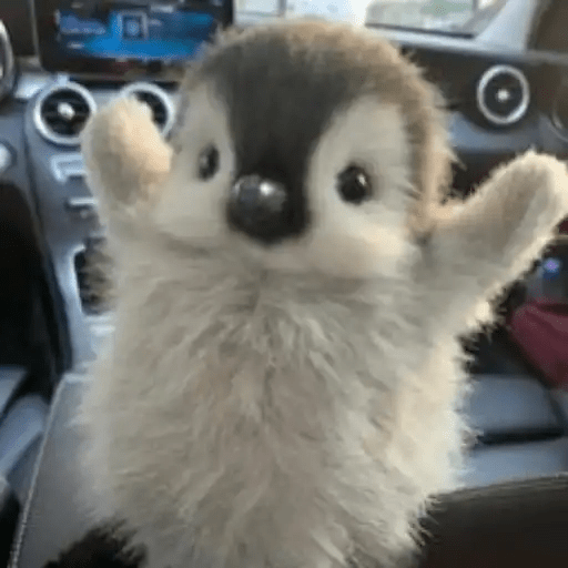 💓 Pingüinos bebé 3🐧 13