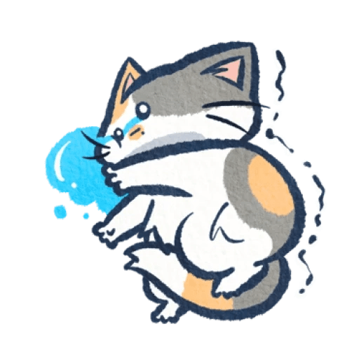 Gato Gatito loco 😜 crazy cat 😺 5