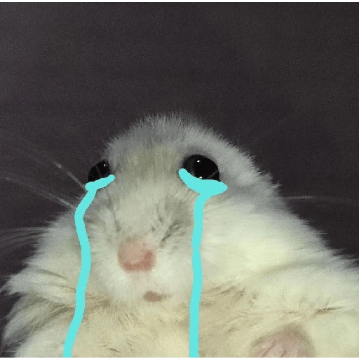 HAMSTER IMUT 6
