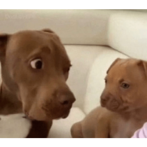 Enojado 🤨 9