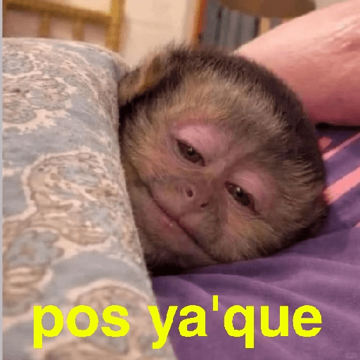 Changuitos Random 🐒 5