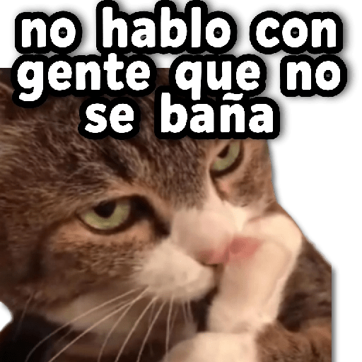COMBO de Stickers #22 🫟 13