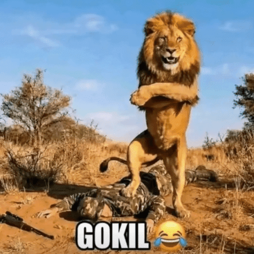 MEME GOKIL SINGA 3