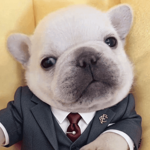 Pibble 7