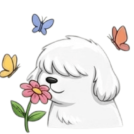 Cute Dog 🐶 Perrito Blanco 🆕  2