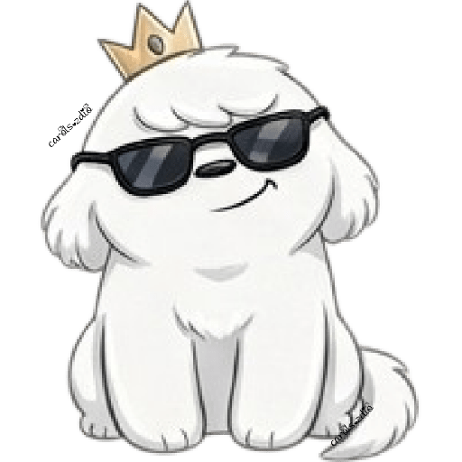 Cute Dog 🐶🐕Perrito Blanco 🆕3 2
