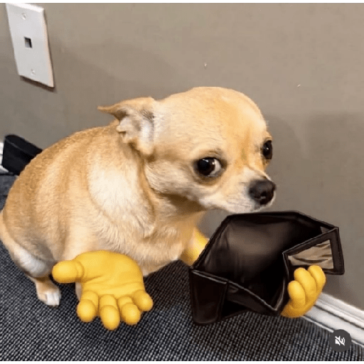 Animalitos MIX #5 2