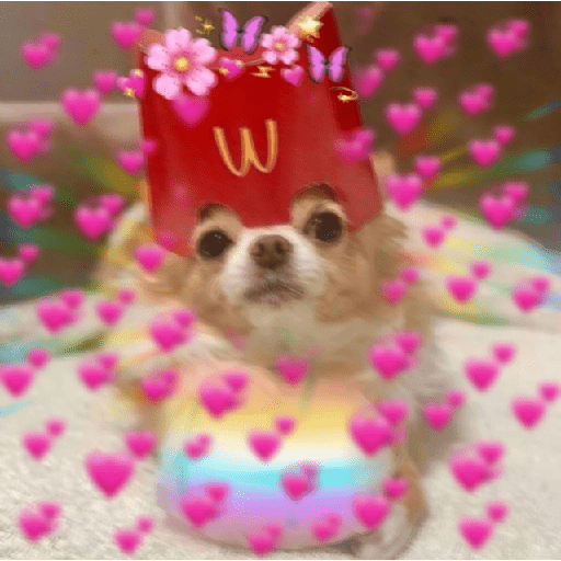 💕Amor del bueno 4💖 14