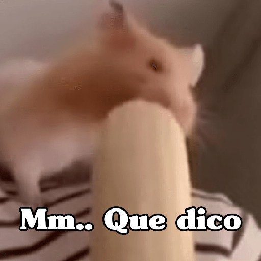 🧿 Hamster ratas roedores🐭🐁🐹🐀 23