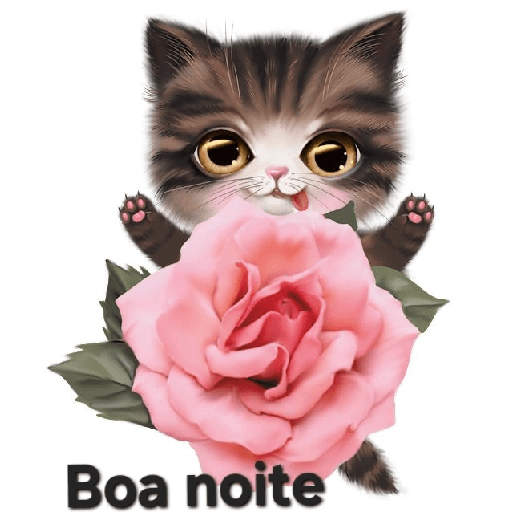 Boa noite 6