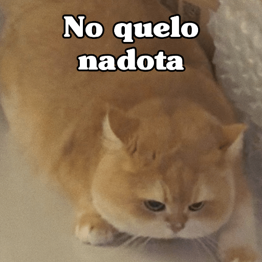 🧿 Dilo con Michis 4🐱 8