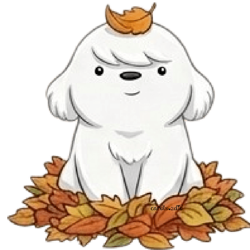 Cute Dog 🐶🐕Perrito Blanco 🆕3 4