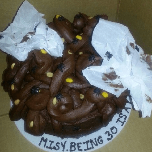 Poop cake birthday 12