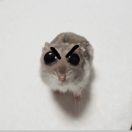 HAMSTER IMUT 12