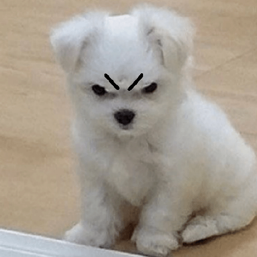 Perritos enojados 🔥😡 3