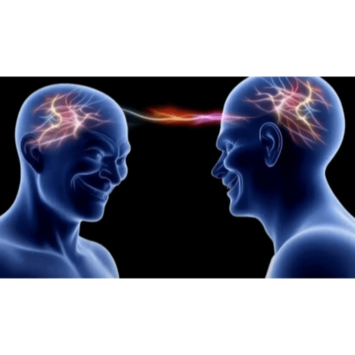 Brain Link