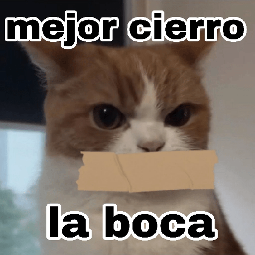 Gatitos enojados 😡 🔥 5