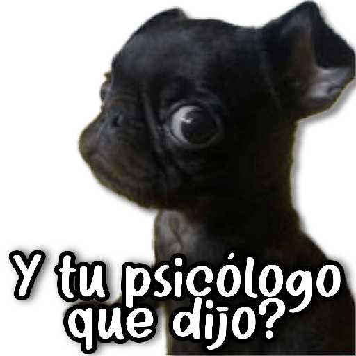 COMBO de Stickers #23 🌱 9