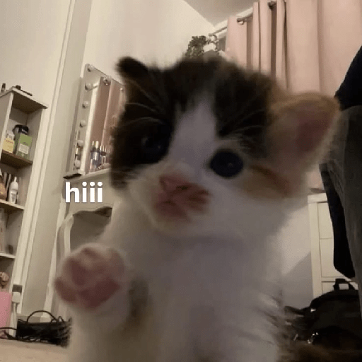 Gatitos 🥰🥰 1