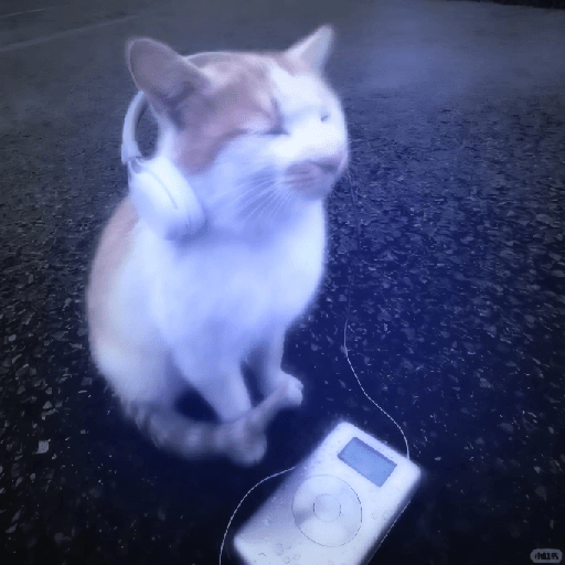 Michis MiX 😺😺 12