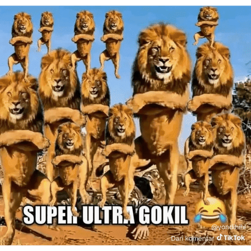 MEME GOKIL SINGA 1