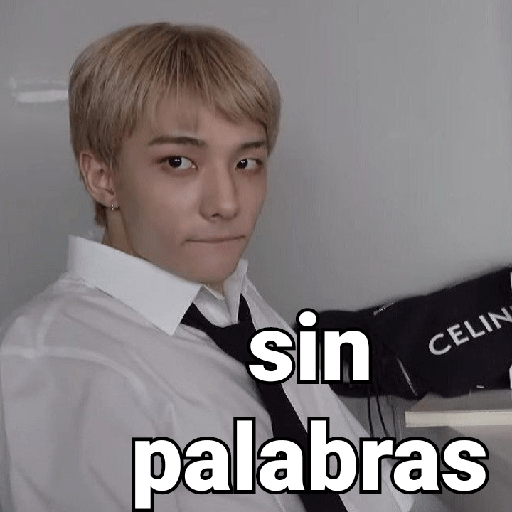 sin palabras