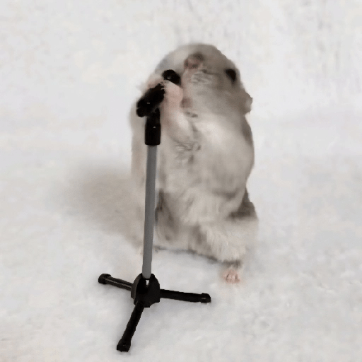 🐀Ratitas y Hámsters 🐹 7
