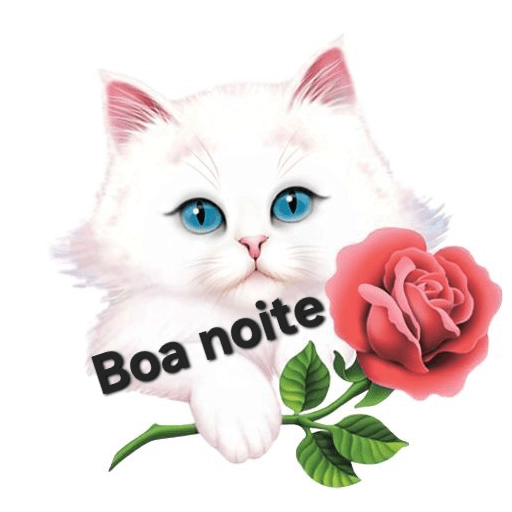 Boa noite 5