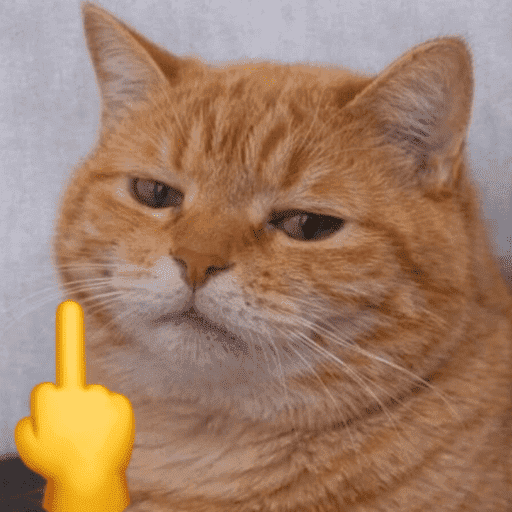Gatinhos fofos 4