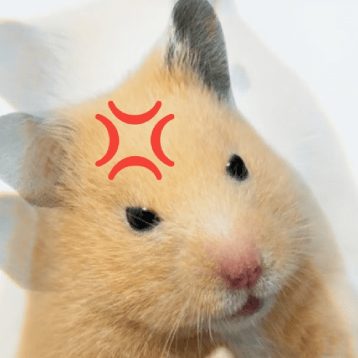 🧿 Hamster ratas roedores🐭🐁🐹🐀 26
