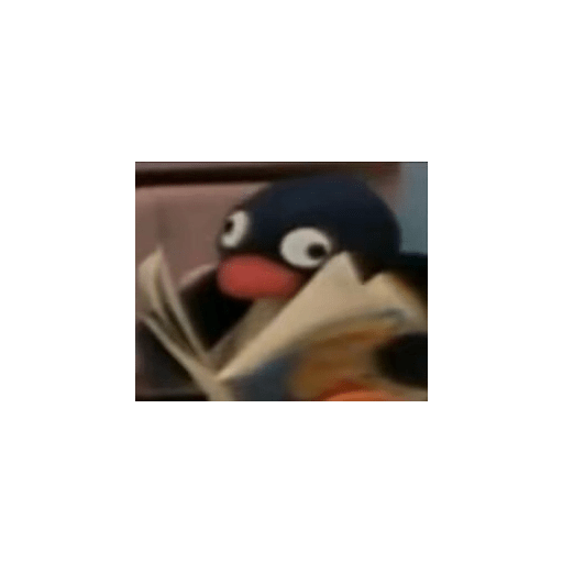 Pingüimos 🙊 1