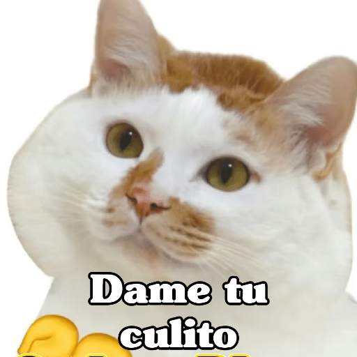 🧿 Dilo con michis 5😺 19