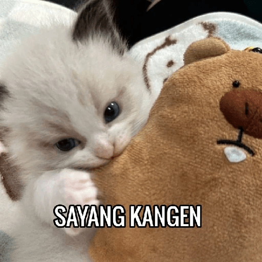 Kata-kata kangen / miss you  3